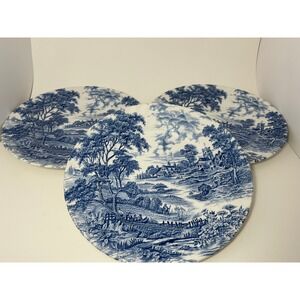 Ridgway Meadowsweet Blue White Ironstone Plates Set of 3 Staffordshire England